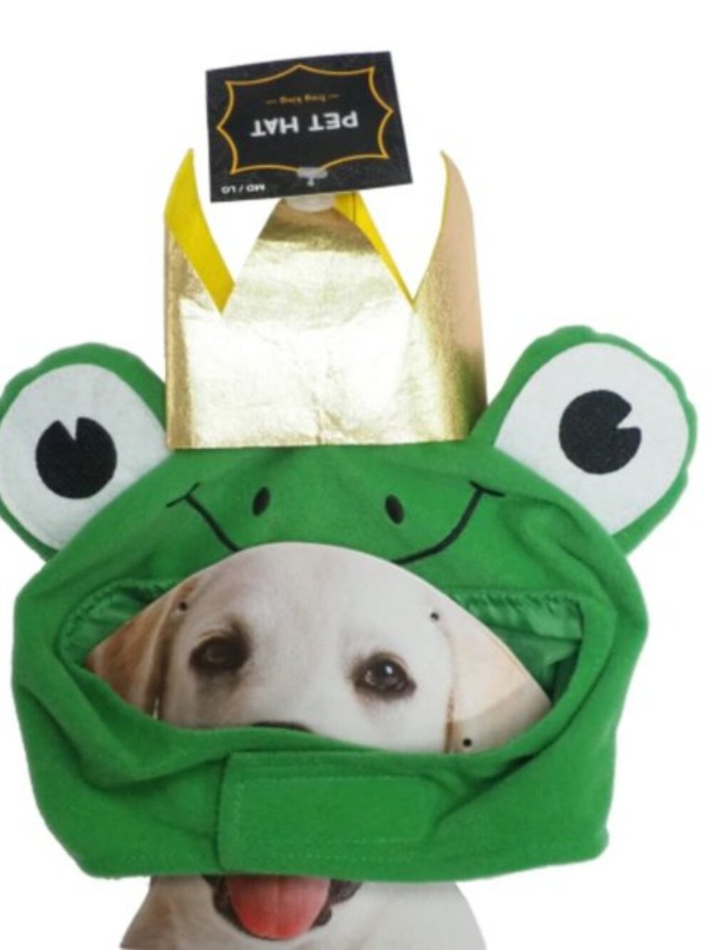 Meijer | Dog Costume "Frog Prince" Halloween Costume Hat | Size Medium Large